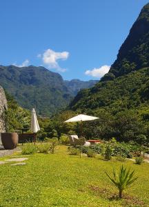 波文图拉Terrabona Nature & Vineyards的庭院配有遮阳伞和椅子,背景为山脉