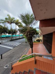 马尼萨莱斯Apartamento Central En La Zona De Cable Plaza的一座棕榈树,在建筑旁边的人行道上