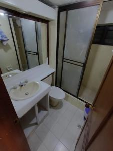 马尼萨莱斯Apartamento Central En La Zona De Cable Plaza的一间带水槽和卫生间的浴室