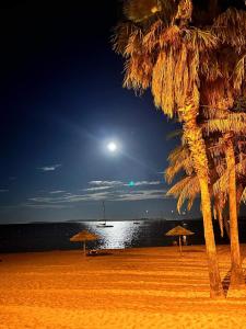 勒拉旺杜studio cabine. Terrasse的两棵棕榈树和月亮的海滩