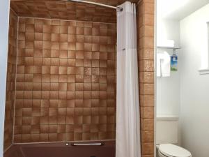 南太浩湖Elevation Lodge的带淋浴和卫生间的浴室