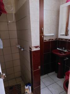 洛哈Acogedor departamento的带淋浴和盥洗盆的小浴室