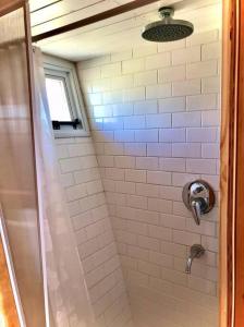 Los ÁrbolesNamakai.tinyhouse, minimalism in a magic place的带淋浴的浴室和玻璃门