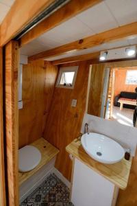Los ÁrbolesNamakai.tinyhouse, minimalism in a magic place的一间带水槽和卫生间的小浴室