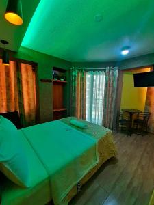 瓦努科HOTEL LA BELLA Y EL LEON的一间卧室设有一张带绿色天花板的大床