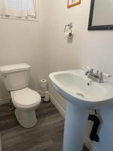 沃萨加比奇海滩林地雪松家庭小屋度假村的白色的浴室设有卫生间和水槽。