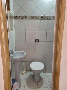 皮雷诺波利斯Suítes Boa Viagem的一间带卫生间和水槽的小浴室
