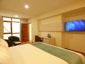TalaveraMuña Hotel的配有一张床和一台平面电视的酒店客房