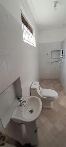 波特尔堡Maasai Villa Backpackers Home的白色的浴室设有水槽和卫生间。