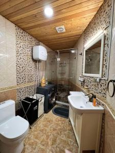 乌兰巴托Location, locaton, location!的一间带卫生间和水槽的浴室