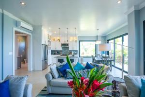 珀拉什奇亚Sunset Gecko Condos Entire Property的带沙发的客厅和厨房