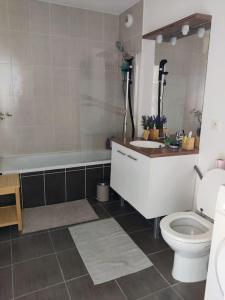Monnetier-MornexCharmant appartement avec magnifique vue的浴室配有卫生间、浴缸和水槽。