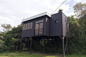 蒙泰韦尔德哥斯达黎加Calma, Monteverde - Expect Serenity Here的树上黑房子