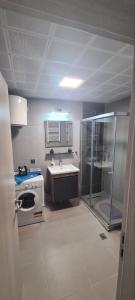 斯科普里Cevahir Luxury Apartments的带淋浴和盥洗盆的浴室