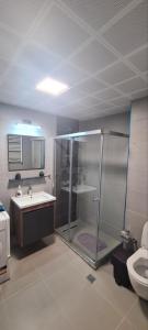 斯科普里Cevahir Luxury Apartments的带淋浴、盥洗盆和卫生间的浴室