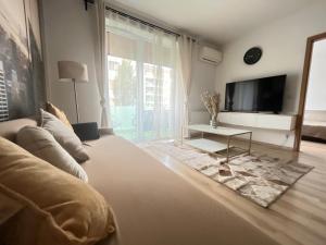 布达佩斯Corvin Promenade Crystal的带沙发和电视的客厅
