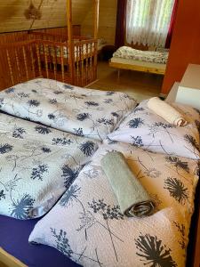 特尔乔夫Chatka Valaška的房间里的床上有两个枕头