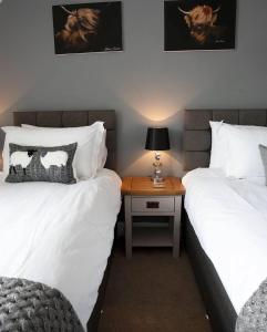 邓韦根Atholl House Skye的一间卧室配有两张床和一个带灯的床头柜