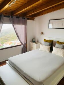 洛西洛斯Casa Tía Tomasa的一间卧室设有一张大床和一个窗户。