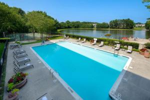 达拉姆罗利 - 达勒姆希尔顿逸林酒店的享有大型游泳池及河流的上方景色