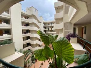 马贝拉Apartamento con vistas y terraza en Guadalmina Marbella的从公寓大楼的阳台上可欣赏到风景。