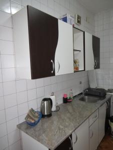 斯科普里SKOPJE REKORD APARTMENT的厨房配有水槽和台面
