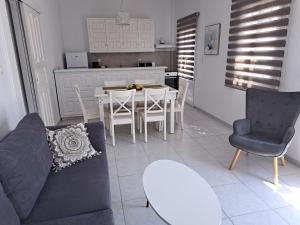 奥诺斯Anixi - Primavera Mykonos的客厅配有沙发和桌椅