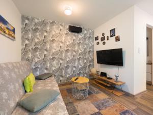 德辛VICIBERG DĚČÍN的带沙发和平面电视的客厅