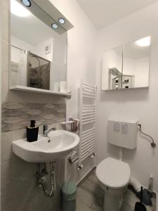 萨图马雷CASEROM Studio的一间带水槽、卫生间和镜子的浴室