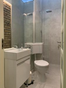贝尔格莱德Sunlit artist studio的浴室配有卫生间、盥洗盆和淋浴。
