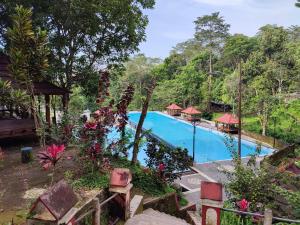特特巴图Joben Eco Park的花树度假酒店的游泳池