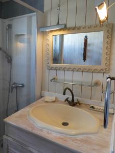格吕桑UN CHALET EN BOIS A LA PLAGE的一间带水槽、镜子和淋浴的浴室