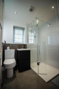 利马瓦迪Binevenagh View, Magilligan Holiday Let的一间带卫生间和玻璃淋浴间的浴室