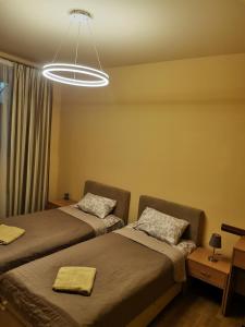 基辅Westend Hotel Kyiv的一间设有两张床和灯具的客房
