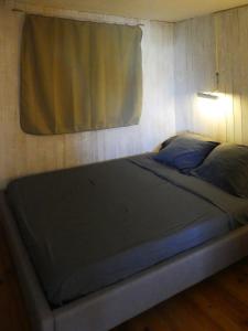 格吕桑UN CHALET EN BOIS A LA PLAGE的窗户客房内的一张大床