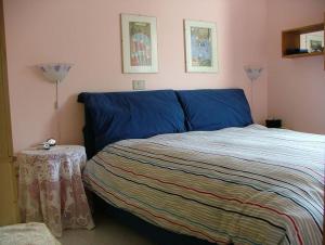 桑格罗堡Casa vancanze con camino的一间卧室配有一张蓝色的床和一张桌子
