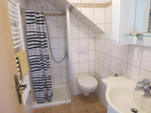 霍恩斯泰因Ferienwohnung Schlesinger的一间带卫生间和水槽的小浴室