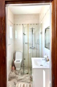 马哈赞加Mahajanga Residences的带淋浴、卫生间和盥洗盆的浴室