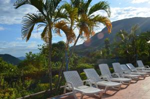 阿普洛Finca Hotel Villaruth的一排白色椅子和一棵棕榈树