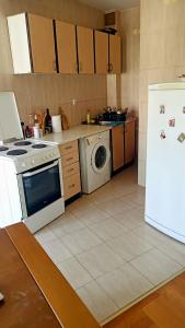 波德戈里察Central Home的厨房配有冰箱和洗衣机。