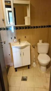 波德戈里察Central Home的一间带卫生间、水槽和镜子的浴室