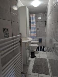 拉罗谢特3 Bedroom apartment in the Center of Larochette的一间带水槽、卫生间和淋浴的浴室