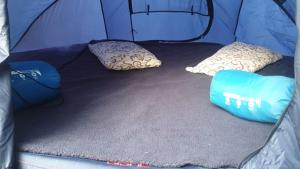 Valea PutneiPensiunea La Sishe Valea Putnei的蓝色帐篷的地板上配有枕头