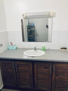MamoudzouCentral Appart的浴室的柜台设有水槽和镜子