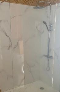 埃尔帕索Villa Jardines la Quinta的带淋浴的浴室和玻璃门