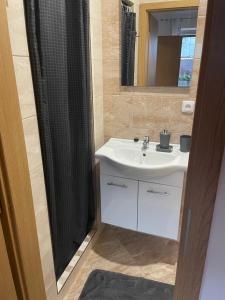布热茨拉夫Apartmán Pohoda的浴室配有盥洗盆和带镜子的淋浴
