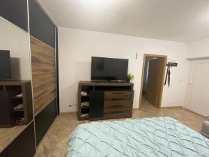 布热茨拉夫Apartmán Pohoda的一间卧室配有一张床和一台平面电视