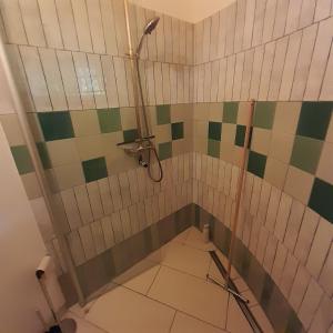 SchweizermühleRapunzel trifft Dornröschen的浴室铺有绿色和白色瓷砖,设有淋浴。