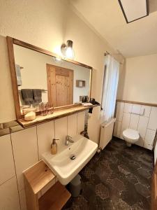 圣恩吉玛Zum Loderwinkl的一间带水槽、镜子和卫生间的浴室