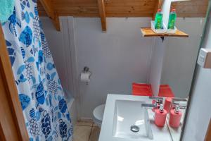 帕普多Cabañas Hostel Aquario Papudo的一间带水槽和卫生间的小浴室
